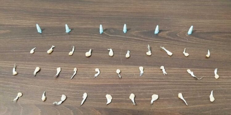 ROTAM prende ciclista suspeito de envolvimento com o tráfico de drogas em Guaratuba