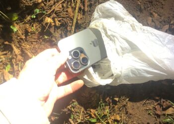 “Enterrou o celular e fugiu”: rastreador ajuda PM a encontrar iPhone roubado em Paranaguá