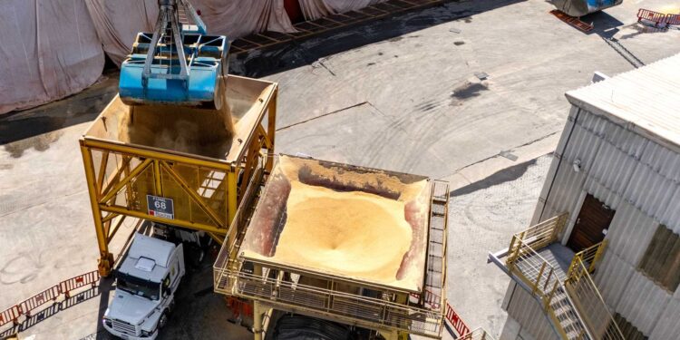 Portos do Paraná movimentam 28 milhões de toneladas nos cinco primeiros meses do ano