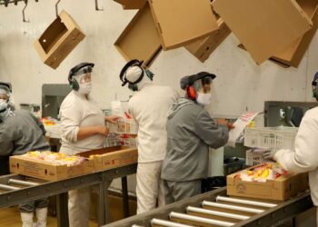 Paraná tem maior crescimento econômico do Brasil no 1º quadrimestre, diz Banco Central