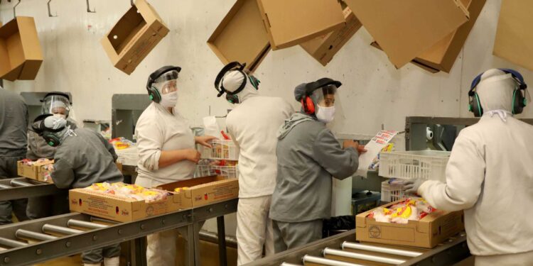 Paraná tem maior crescimento econômico do Brasil no 1º quadrimestre, diz Banco Central