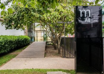 Museu de Arqueologia e Etnologia da UFPR registra quase 11 mil visitantes no primeiro semestre de 2025