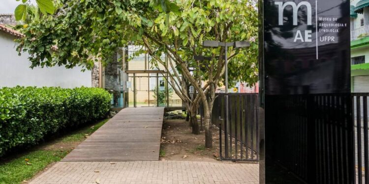 Museu de Arqueologia e Etnologia da UFPR registra quase 11 mil visitantes no primeiro semestre de 2025