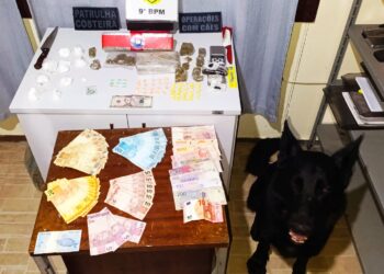 OPERAÇÃO CORPUS CHRISTI: Polícia Militar apreende maconha, cocaína, haxixe, ecstasy e LSD na Ilha do Mel