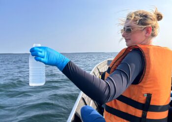 DNA do mar: tecnologia genética pretende transformar o Porto de Paranaguá em laboratório de conservação ambiental