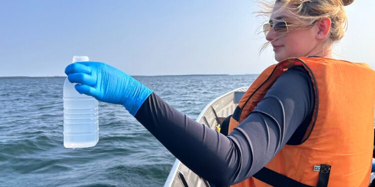 DNA do mar: tecnologia genética pretende transformar o Porto de Paranaguá em laboratório de conservação ambiental