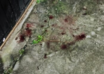 Rapaz é esfaqueado e jogado no mar durante assalto em Paranaguá; criminoso tentou abusar sexualmente da vítima