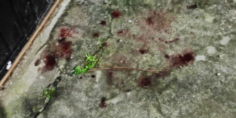 Rapaz é esfaqueado e jogado no mar durante assalto em Paranaguá; criminoso tentou abusar sexualmente da vítima