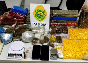PM apreende mais de 14 quilos de maconha e quase 3 mil comprimidos de ecstasy na Serraria do Rocha em Paranaguá
