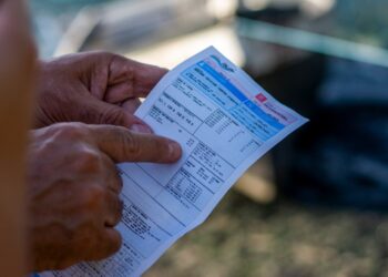 Após flagrante de esgoto no mangue, Paranaguá Saneamento diz que áreas afetadas são menos de 3% do sistema