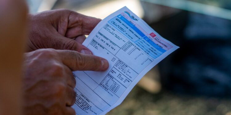 Após flagrante de esgoto no mangue, Paranaguá Saneamento diz que áreas afetadas são menos de 3% do sistema