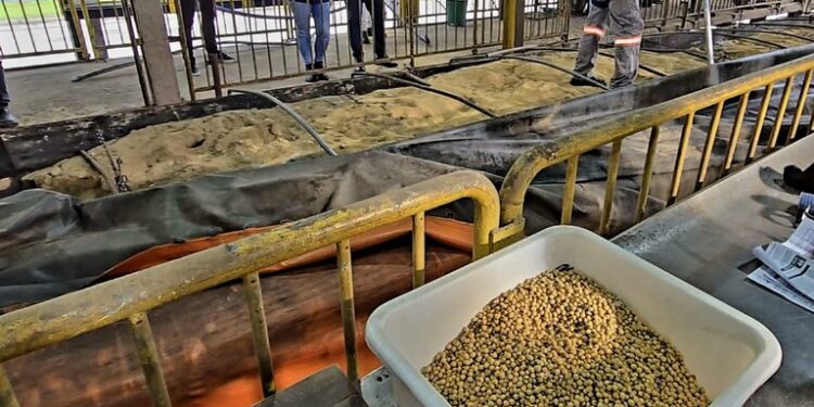 Polícia Federal prende motorista e apreende caminhão com carga de soja adulterada em Paranaguá