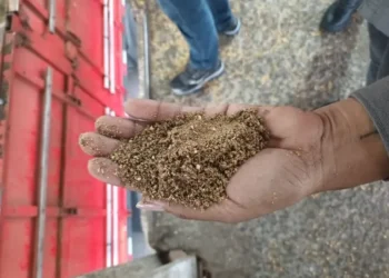 Ação conjunta resulta na apreensão de carga irregular de farelo de soja em Paranaguá