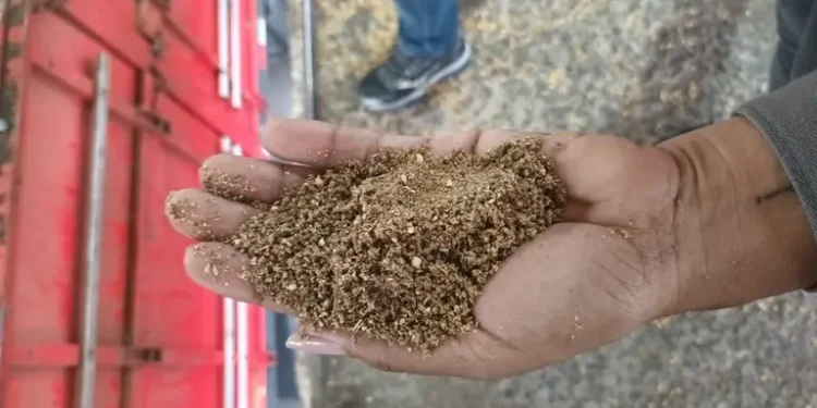 Ação conjunta resulta na apreensão de carga irregular de farelo de soja em Paranaguá