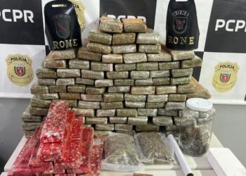 RONE apreende quase 100 quilos de entorpecentes em Colombo; troca de informações com o Batalhão Costeiro levou os militares até o local onde a droga estava armazenada