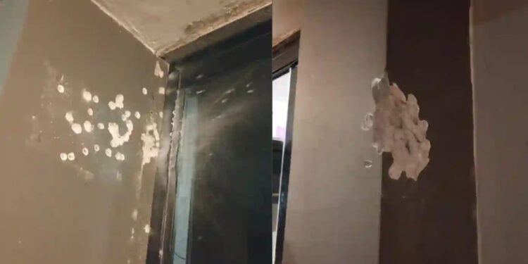 Homem efetua disparos de espingarda calibre 12 na entrada de uma casa de eventos em Paranaguá; ninguém ficou ferido