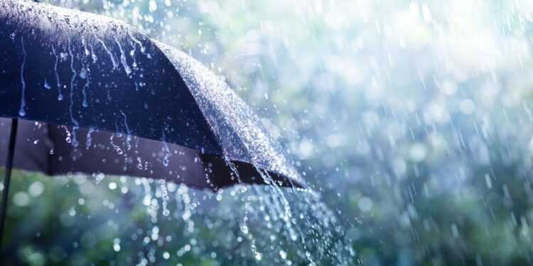 Com previsão de geada, temperaturas começam a cair nesta segunda-feira no Paraná