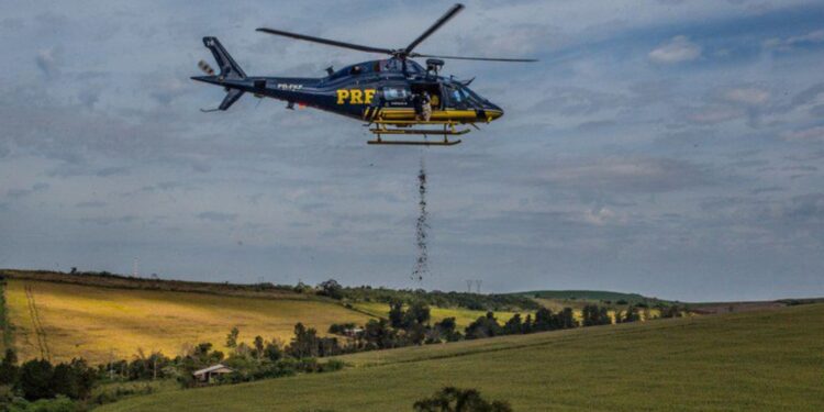 Helicóptero da PRF lança 10 toneladas de sementes para reflorestar Mata Atlântica no PR