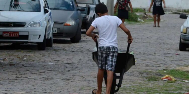 Trabalho infantil avança no Litoral do Paraná e já soma 12 casos flagrados em 2025