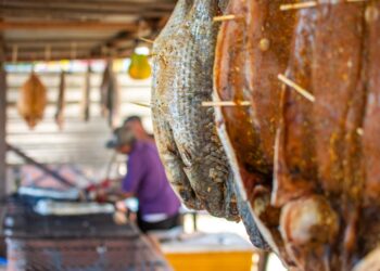 Foto: Moyses Zanardo