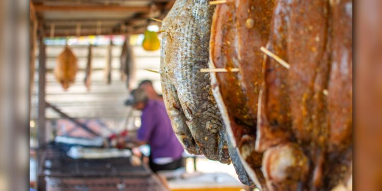 Foto: Moyses Zanardo