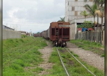 Vigilantes flagram idoso furtando grãos de milho do interior de um vagão na Serraria do Rocha
