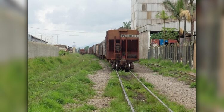 Vigilantes flagram idoso furtando grãos de milho do interior de um vagão na Serraria do Rocha