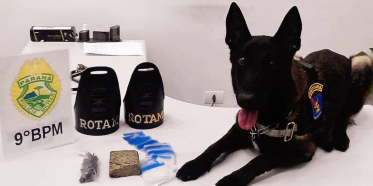 Suspeita de envolvimento com o tráfico de drogas é presa pela PM no Nilson Neves; cão farejador encontrou o entorpecente