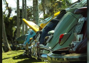 Foto: Prefeitura de Paranaguá