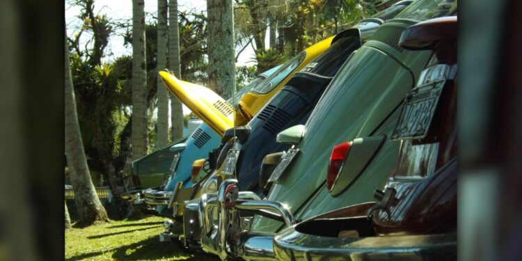 Foto: Prefeitura de Paranaguá