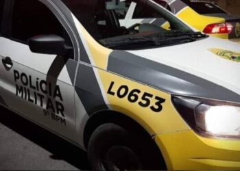 Ação conjunta apreende quase 1 quilo de drogas na Ilha do Mel em Paranaguá