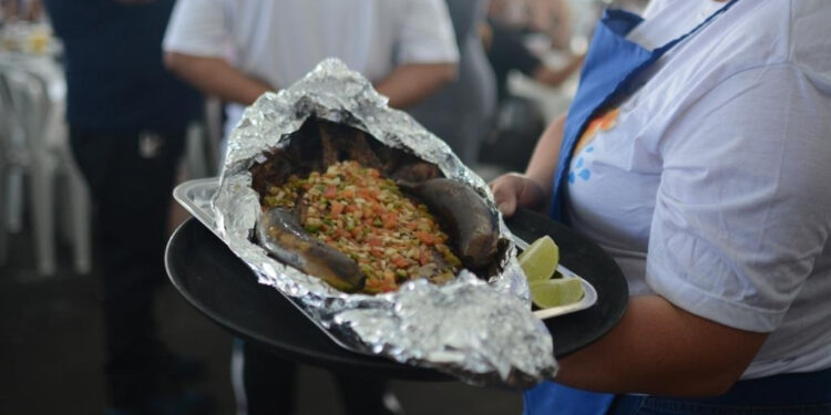 Com shows, fandango, prato típico a R$ 95 e barracas até o fim do mês, Festa da Tainha dá largada aos 377 anos de Paranaguá