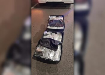 Ação conjunta apreende 40 quilos de skunk na BR-376 em Guaratuba