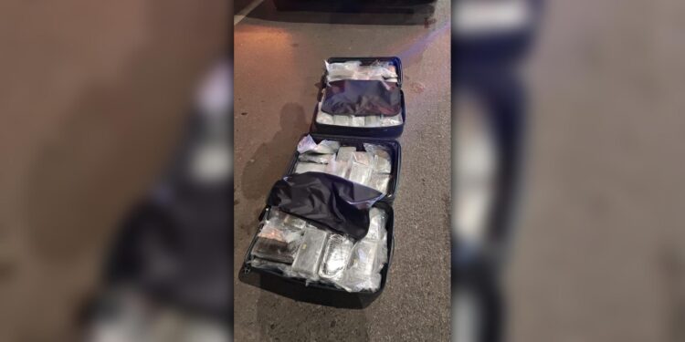 Ação conjunta apreende 40 quilos de skunk na BR-376 em Guaratuba