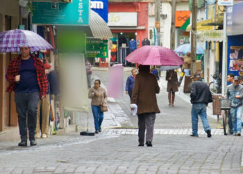 Foto: Prefeitura de Paranaguá