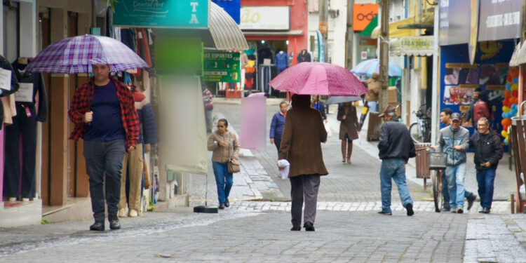 Foto: Prefeitura de Paranaguá