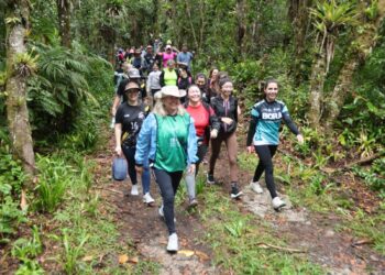 Foto: PMPPR/ Clovis Santos