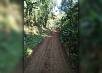 Foto: Prefeitura de Antonina