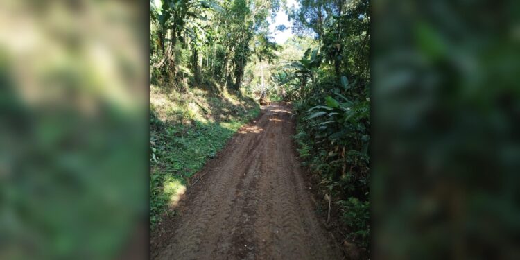 Foto: Prefeitura de Antonina