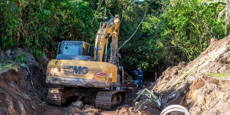 Foto: Moyses Zanardo