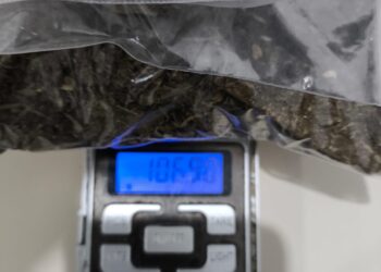 Polícia Militar flagra rapaz transportando pedaços de maconha em Matinhos