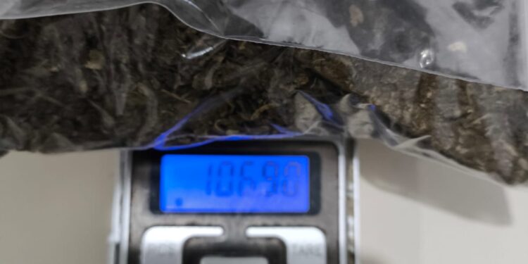 Polícia Militar flagra rapaz transportando pedaços de maconha em Matinhos