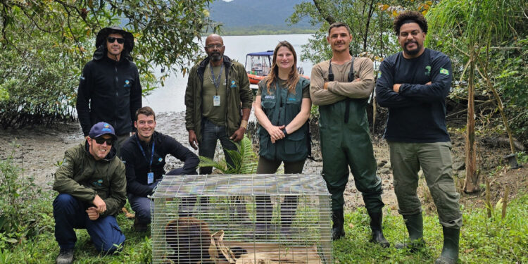 Foto: Diego Fernandes/IAT Morretes