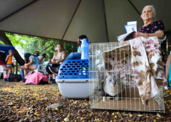 Foto: Patryck Madeira/Arquivo/Sedest