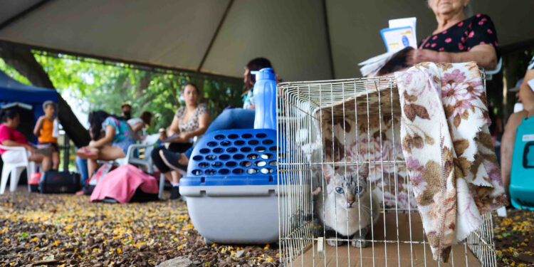 Foto: Patryck Madeira/Arquivo/Sedest