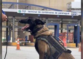 Foto: Divulgação/ TCP