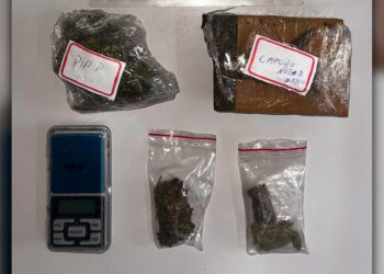 Ao todo foram aprendidos 549 gramas de maconha