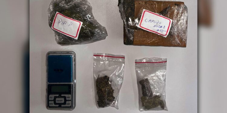 Ao todo foram aprendidos 549 gramas de maconha