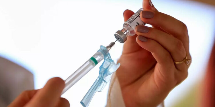 Foto: Prefeitura de Paranaguá