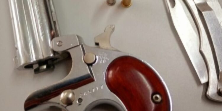 GCM flagra caminhoneiro com garrucha durante abordagem na Avenida Bento Rocha em Paranaguá